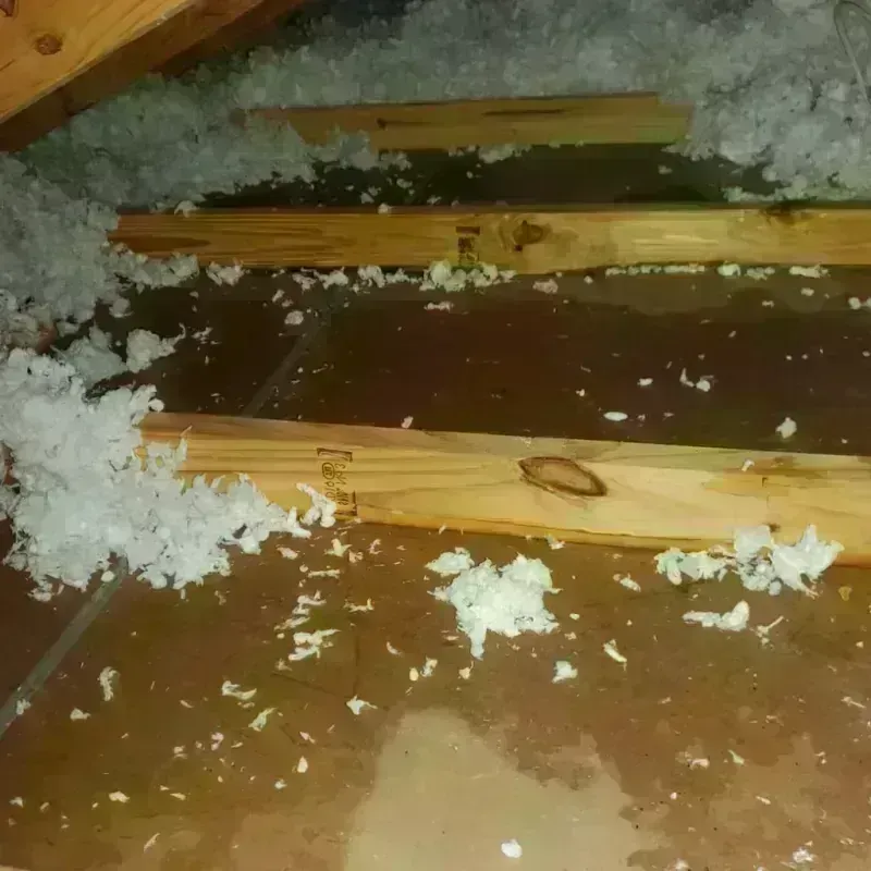 Attic Water Damage in Murphy, NC