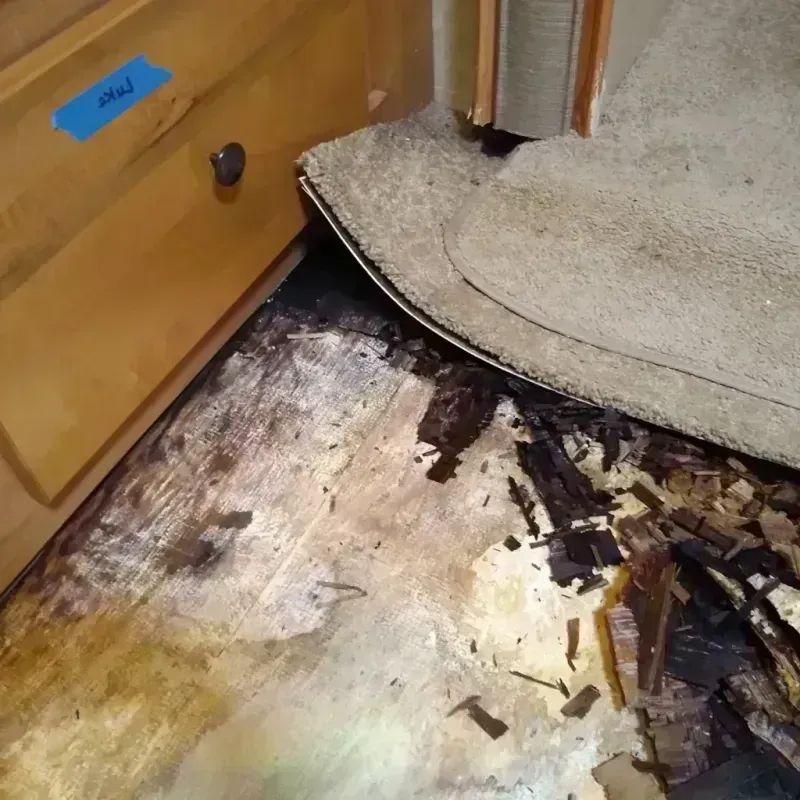 Wood Floor Water Damage in Murphy, NC